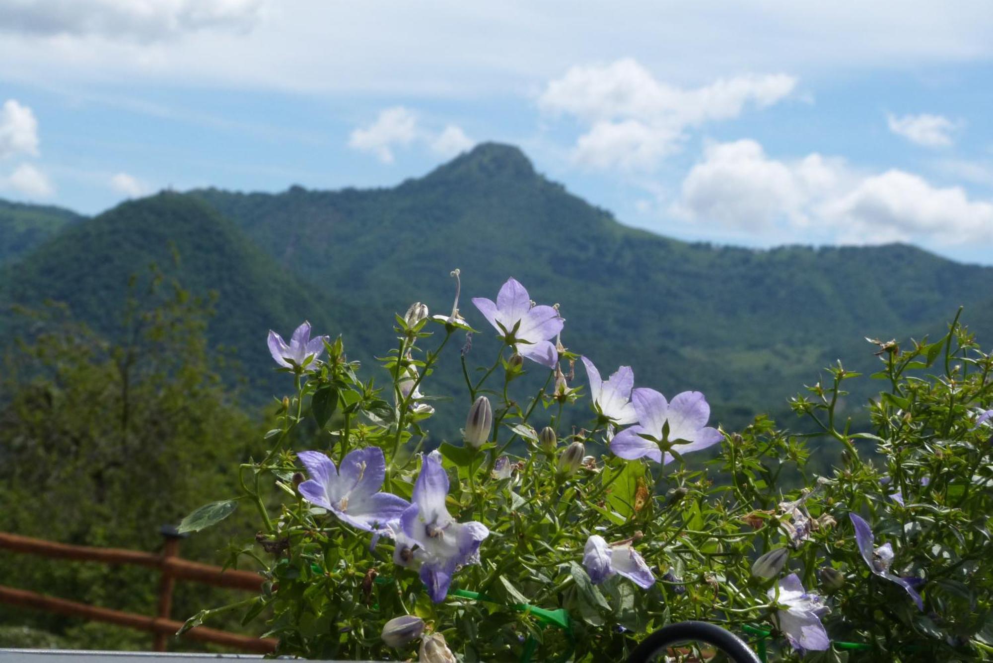 산 페델레 인텔비 Giardino Tra I Laghi B&B 외부 사진